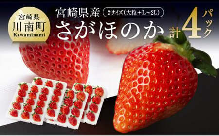 【令和8年発送】宮崎県産いちご　さがほのかセット（大粒×2パック・L～2L×2パック） 【 国産 イチゴ 苺 くだもの 果物 期間限定 数量限定 】