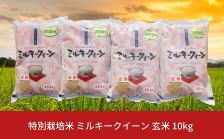 【先行予約】特別栽培米 ミルキークイーン 玄米 10kg 新潟県産 令和7年産 [佐藤農産有機センター]【017S019】