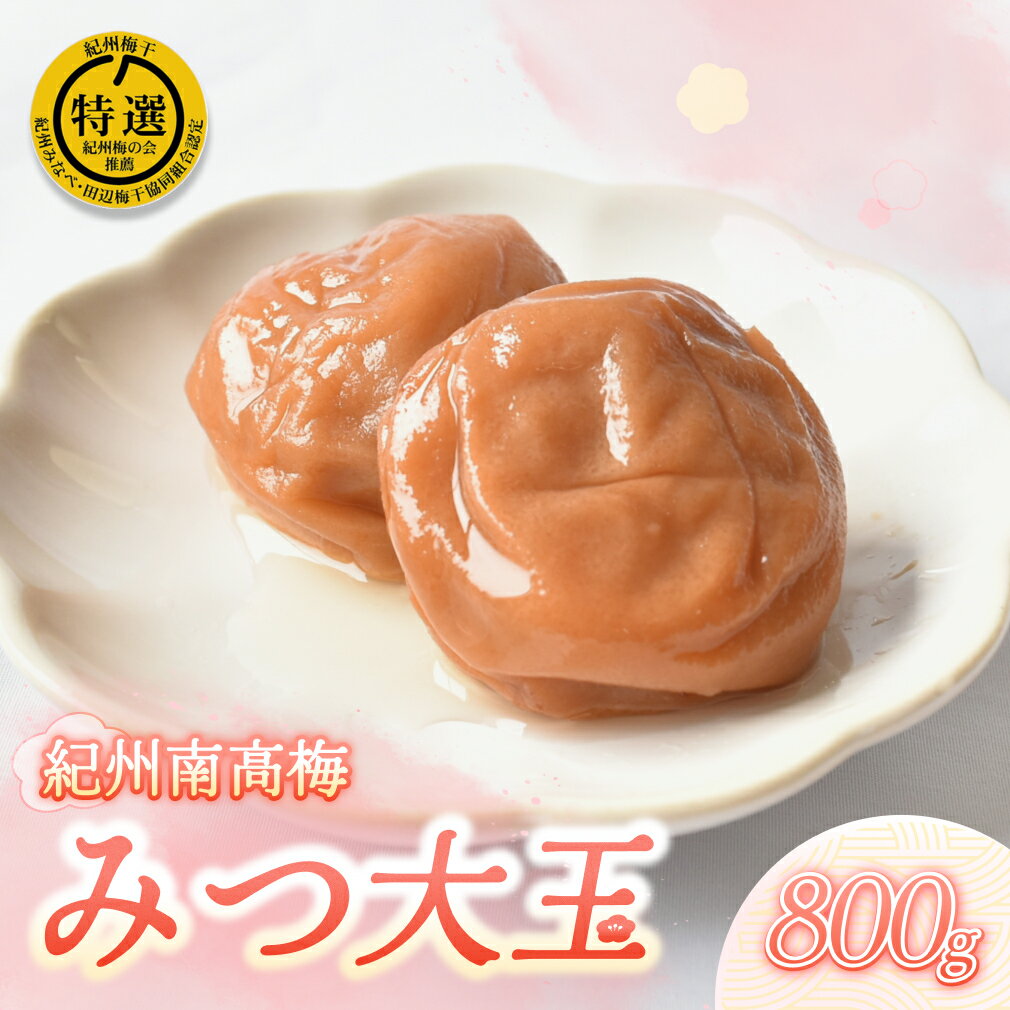 【ふるさと納税】紀州南高梅特選 みつ大玉 800g 梅干し はちみつ 梅 ふるさと納税 紀州南高梅 南高梅 うめぼし 高級 ギフト 大粒 特選（みつ大玉 塩分8％）