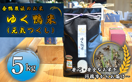 CB-005_合鴨農法のお米「ゆく鴨米」（元気つくし）5ｋｇ～安心･安全なお米を行橋市からお届け