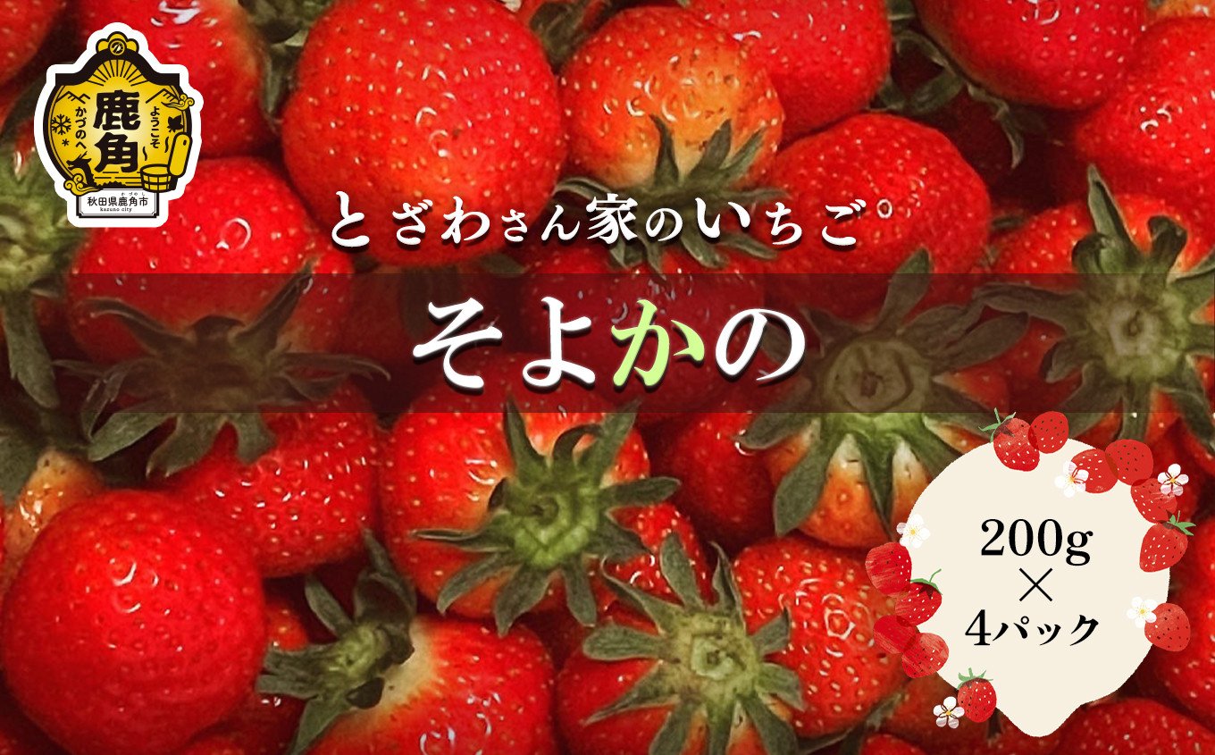 
            《 先行予約 》完熟いちご「そよかの」200g×4パック【とざわさん家のいちご】●2025年6月中旬発送開始 おすそ分け 県産いちご 国産いちご お中元 お歳暮 母の日 父の日 贈り物 贈答用 ホワイトデー お盆 グルメ ギフト 故郷 秋田 あきた 鹿角市 鹿角 送料無料 
          