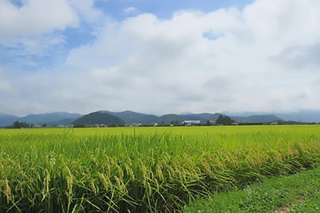 令和7年産 厳選米 匠 特別栽培米 つや姫 10kg [金子農園 山形県 高畠町 tk06ays950034]