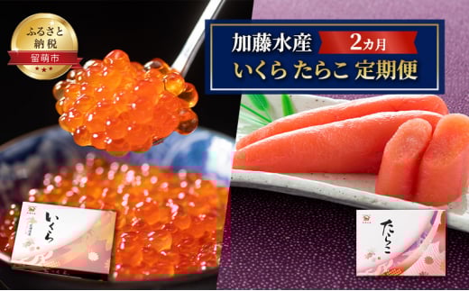 加藤水産 2カ月 いくら たらこ 定期便