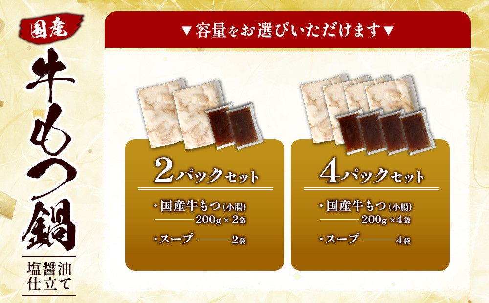 【 選べる】もつ鍋 セット 2パック 4パック 宮崎県 ハーブ牛