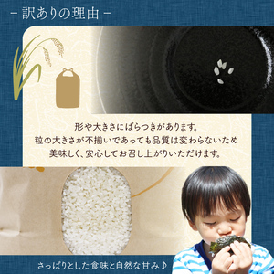 米 にじのきらめき 5kg 訳あり米 再生二期作