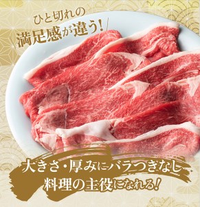 訳あり 京都産黒毛和牛(A4,A5)切り落とし スライス 900g(通常750g+150g) 京の肉 ひら山 厳選≪緊急支援 不揃い 和牛 牛肉 国産 京都 丹波産 冷凍 ふるさと納税牛肉≫※2024