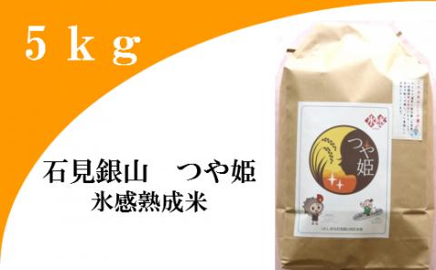 氷感熟成「つや姫」5kg【特別栽培米 つや姫 5kg 島根県産 大田市産 米 氷感熟成 石見銀山氷感つや姫 減農薬 減化学肥料】