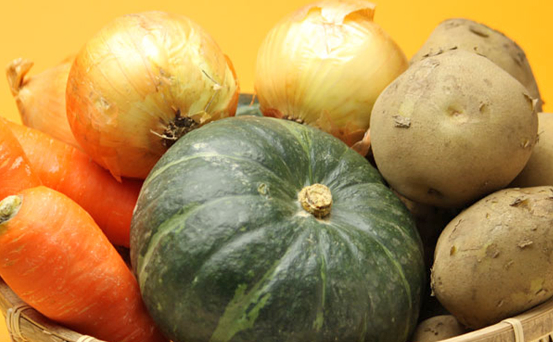 【2026年秋冬発送】富良野 野菜セット 5kg詰め 人参 かぼちゃ いも 玉ねぎ ごぼう ゆり根 米