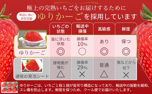 （冷蔵）（定期便） 計3回 【1月・2月・3月】 古都華 300g×2 ／ 丸笑いちご園 今朝摘み フルーツ 苺 イチゴ 果物 新鮮 完熟 朝採り 高級 甘い 奈良県 葛城市_イメージ5