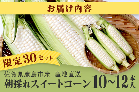 予約受付【限定30セット】ホワイトコーン 10～12本入 とうもろこし トウモロコシ 野菜 B-733 佐賀 鹿島 スイートコーン