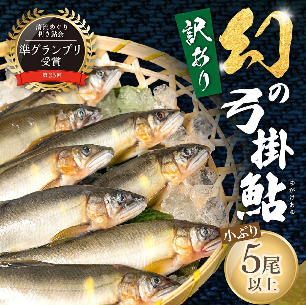 【ふるさと納税】 訳アリ【期間限定】（2025年7月上旬頃から発送）幻の弓掛鮎 訳あり セット 小型 規格外　5尾以上（1尾 約40g前後～）計300g以上【冷凍パック】鮎 あゆ アユ ゆがけ 下呂市 金山 訳アリ 訳あり 18000円