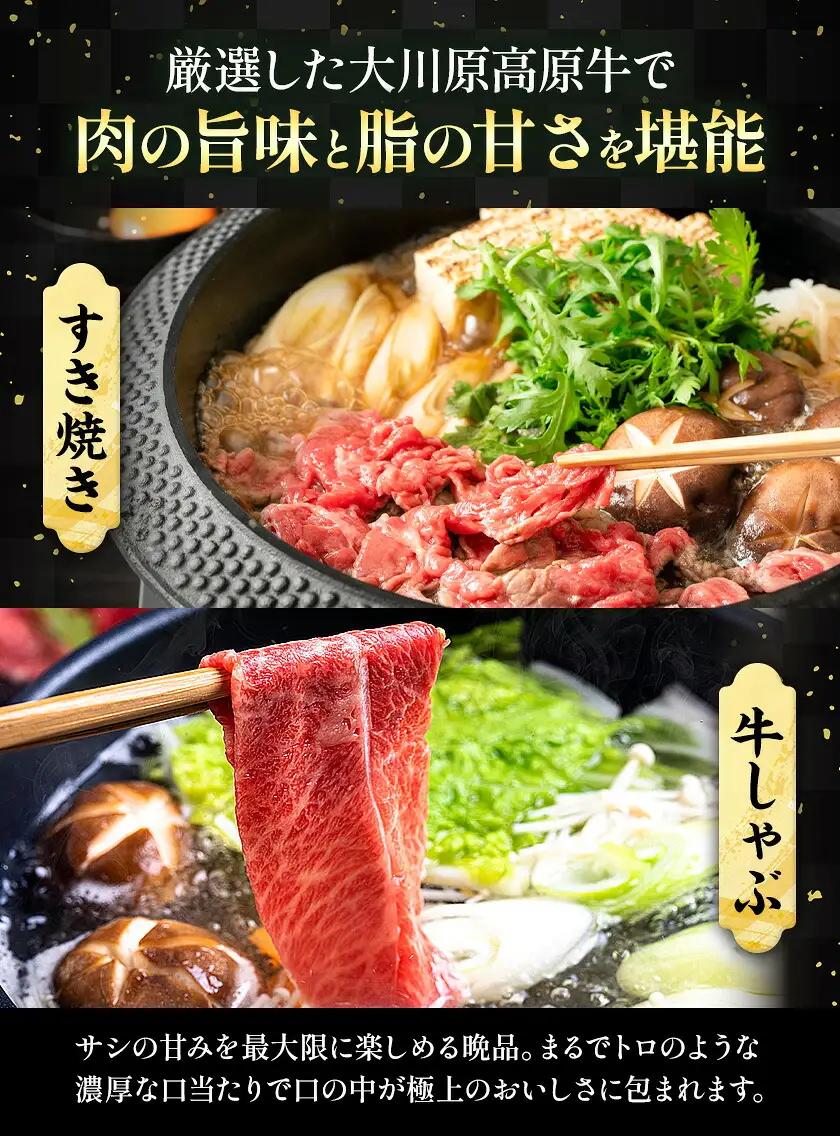 大川原高原牛 特選ローススライス 500g | 牛肉