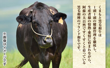 【全6回定期便】 くまもと黒毛和牛 すきやき用 500g すき焼き すきやき しゃぶしゃぶ スライス 国産 冷凍 熊本産 ブランド牛 牛肉【やまのや】[YDF021]