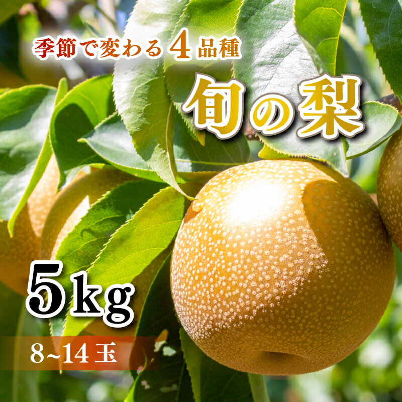 【ふるさと納税】 梨 秀品 5kg セット 8玉 〜 14玉 幸水 豊水 秋月 王秋 フルーツ 果物 なし 期間限定 下関 山口 大人気 発送時期が選べる 【 先行予約 】 【 数量限定 】 【8月以降発送】