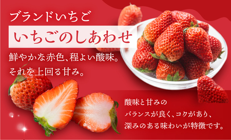 【愛知県・田原産】ブランドいちご「いちごのしあわせ」約9粒～15粒 1月中お届け ／ 苺 イチゴ フルーツ 果物 農薬節減 愛知県 特産品 産地直送 田原市 渥美半島