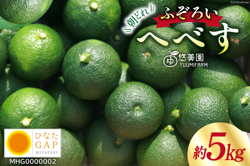 
            【期間限定発送】 へべす ひなたGAP認定 ふぞろい 5kg [へべすの悠美園 宮崎県 日向市 452060724] ヘベス 宮崎 果物 フルーツ くだもの 柑橘 ポン酢 調味料 果汁
          