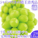 【ふるさと納税】2025年予約受付中【2回定期便】シャインマスカット晴王2房 約1.4kg 7月8月に出荷 人気 岡山県産 種無し 皮ごと食べる みずみずしい フレッシュ 晴れの国 おかやま 果物大国 ハレノフルーツ　お届け：2025年7月1日～2025年8月31日