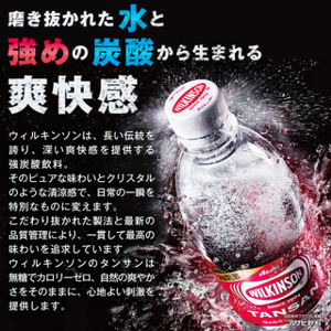 【2週間毎定期便】【月2回:12か月】ウィルキンソン タンサン 500ml【24本】1箱ずつ全24回【4013658】