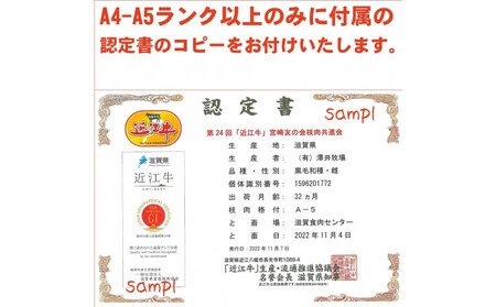 近江牛切り落とし250ｇ【 近江牛 ハラルビーフ 切り落とし 澤井姫和牛 】