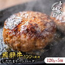 【ふるさと納税】 喜づな旭や 飛騨牛 100％ したたまり ハンバーグ 120g×5個 岐阜県 可児市 牛肉 和牛 ブランド牛 洋食 プレーン シンプル おかず 挽肉 ひき肉 肉汁 味噌たまり醤油 みそたまり ギフト 贈り物 贈答 個包装 真空パック 便利 時短 冷凍 お中元 御中元 送料無料