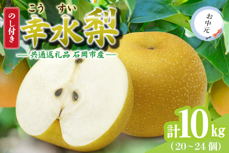 
            ＜のし付き＞お中元　幸水　10kg(20～24個)　県内共通返礼品 (BR149)
          