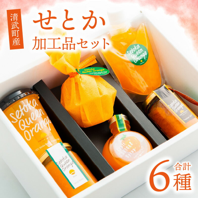 【ふるさと納税】 宮崎市 清武町産 せとか 加工品セット 6種類 せとか加工品 詰め合わせ セット 果物 フルーツ ジュース ゼリー 飲むゼリー コンフィチュール バター クラフトシロップ オレンジ 贈り物 贈答 おすすめ グルメ お取り寄せ 宮崎県 送料無料