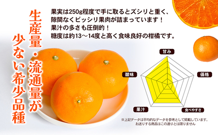 せとか 柑橘 フルーツ ハウスせとか 香川県産 せとか【約5kg】
