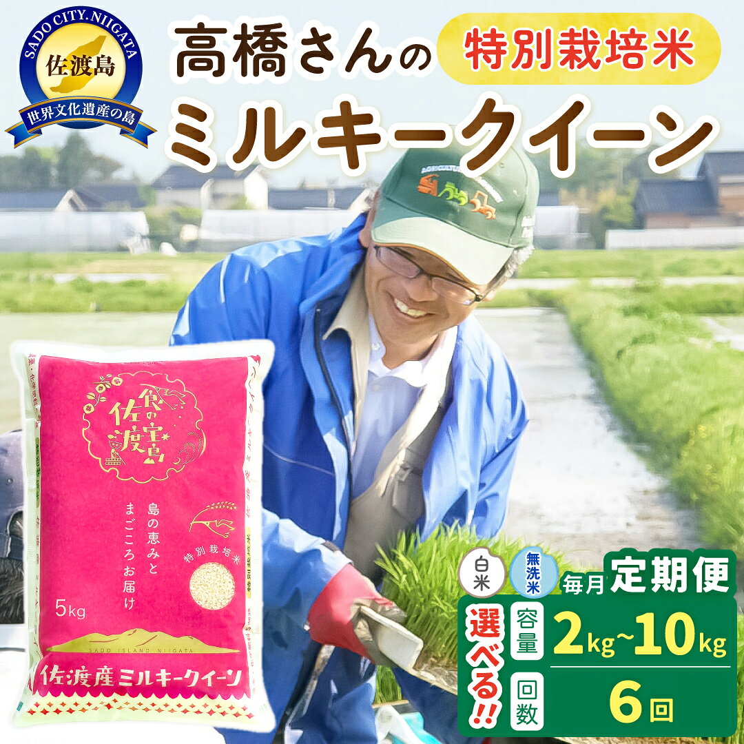 【ふるさと納税】【6か月定期便】佐渡島産ミルキークイーン 白米 or 無洗米 選べる容量 2Kg 4Kg 5Kg 10Kg 令和8年産 特別栽培米