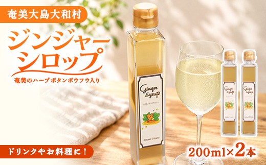 
            ジンジャーシロップ2本セット
          