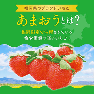 【1月上旬より順次出荷】福岡県産 あまおう 約280g×5パック 約1.4kg 冷蔵 いちご 苺 あまおう いちご 苺 あまおう いちご 苺 あまおう いちご 苺 あまおう いちご 苺 あまおう いち