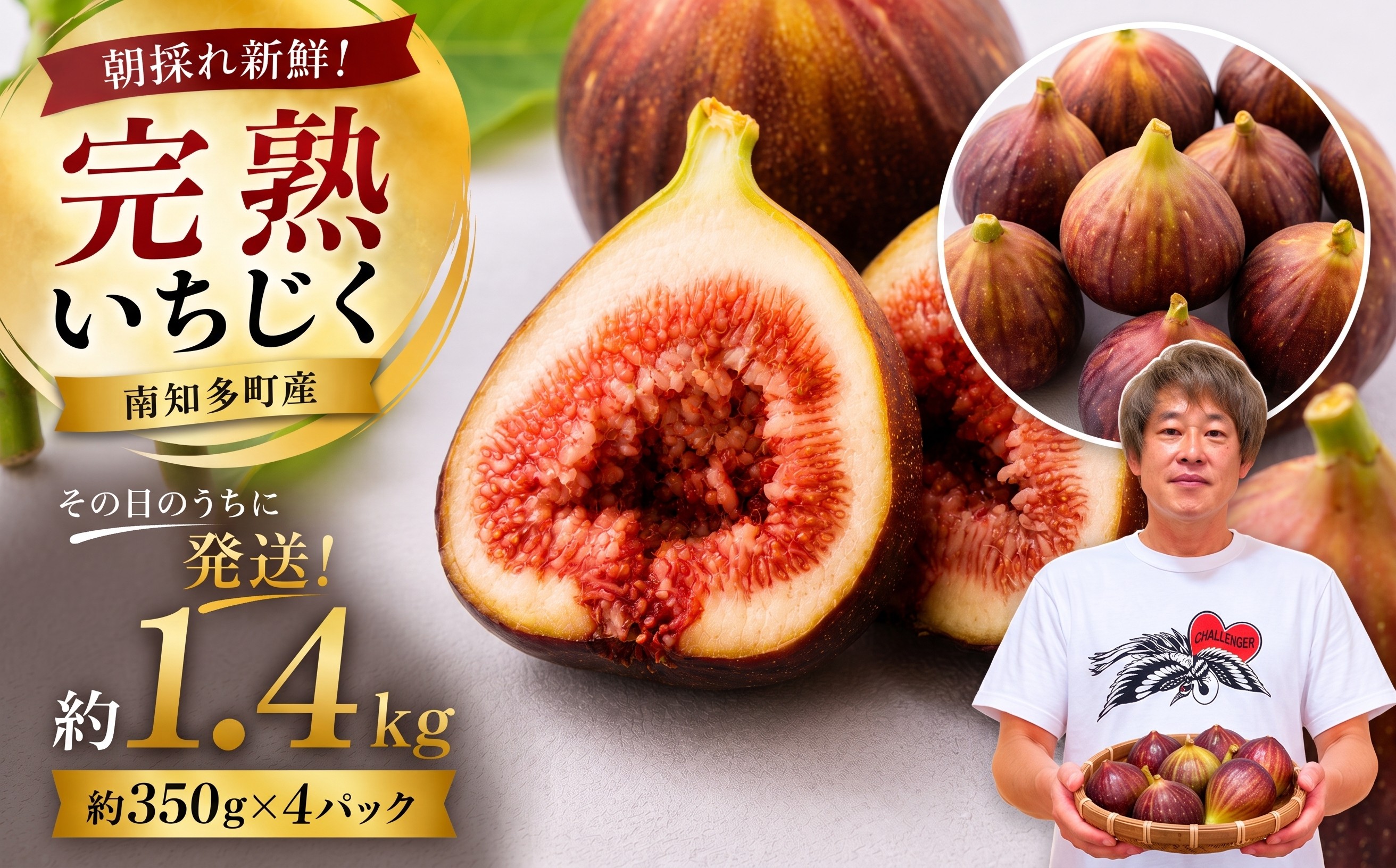 
                  【先行予約】【2026年8月中旬~出荷】訳ありいちじく 約350g×4パック 計約1.4kg  冷蔵 果物 くだもの デザート 旬 贈答用 ギフト プレゼント おやつ 朝採れ 新鮮 ご褒美 国産 ジャム なめらか 産地直送  期間限定 数量限定 お取り寄せ ふるさと納税いちじく ふるさと納税果物 ふるさと納税フルーツ 人気 愛知県 南知多町 【配送不可地域：北海道 東北 九州 沖縄 離島】
                