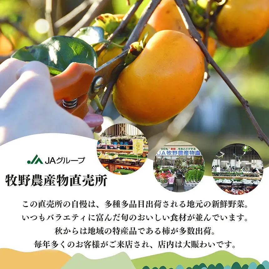 【化粧箱】たねなし あわせ柿 2Lサイズ 16個入 | 果物 産地直送 国産 自宅用 ギフト 種有り 奈良県 五條市