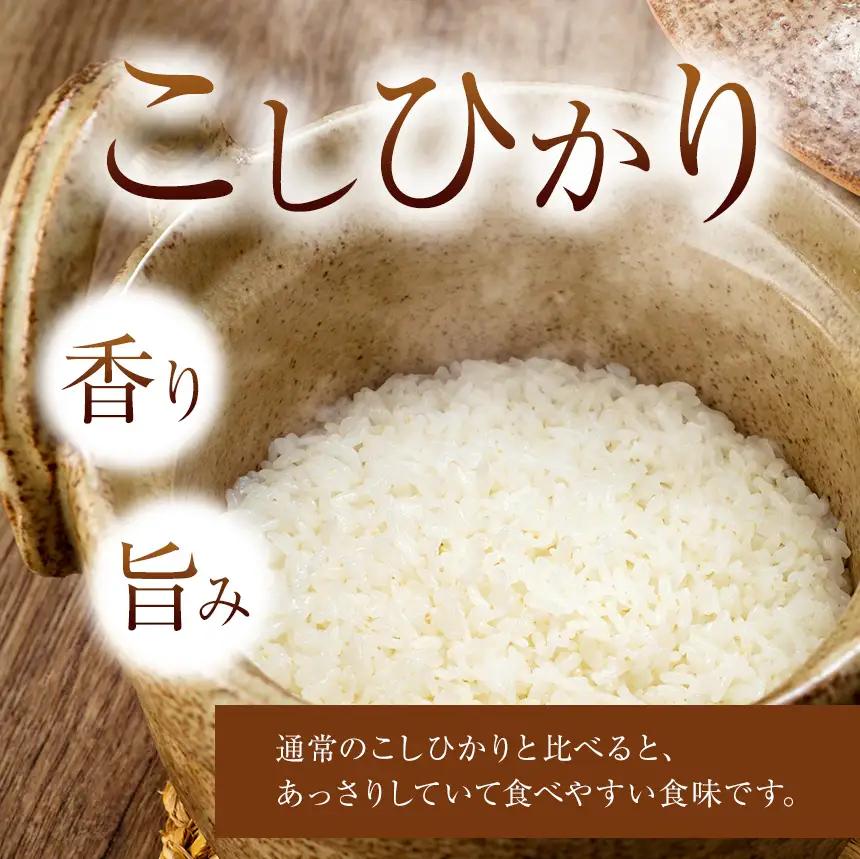 【定期便４回】令和8年産 こしひかり 5kg （白米） 宮崎県産