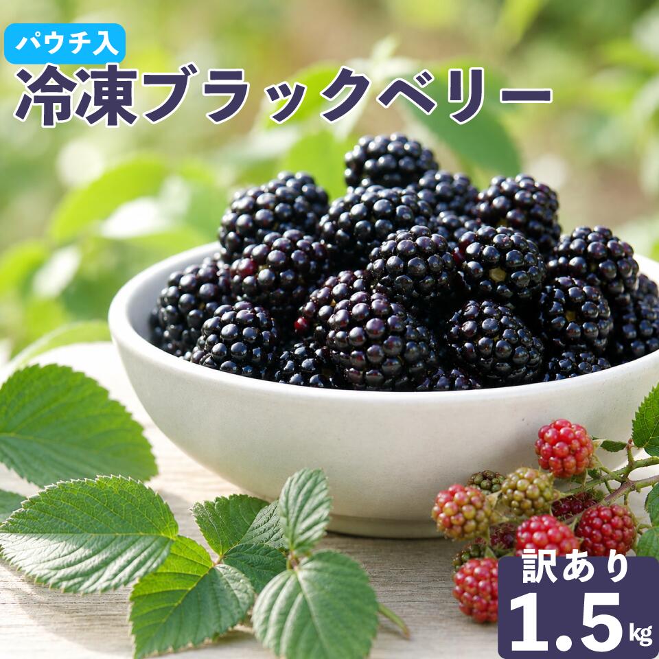 【ふるさと納税】＜【加工用・訳あり】冷凍ブラックベリー約1.5kg＞ふるーつ fruit ヒロの果樹園からMIYAMOTOFARM が受け継ぎました 冷凍フルーツ フローズン スムージー チャック付き袋入り 家庭用 高知県 佐川町 （栽培期間中 化学農薬化学肥料不使用）