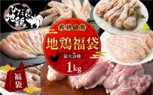 ＜8月から寄附額改定＞飛騨地鶏 お楽しみ福袋 合計1kg 鶏肉 小分け 福袋 飛騨地鶏 地鶏 モモ肉 手羽先 手羽元 ささみ  鶏肉 飛騨 10000円 1万円