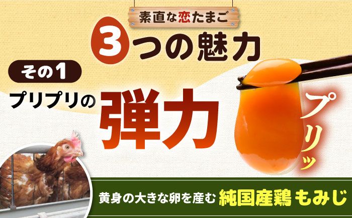 【全2回定期便】特選 素直な恋たまご 30個 《壱岐市》【しまのたまご屋さん】  卵 たまご 鶏卵 玉子 ギフト 国産 卵かけご飯 たまごかけご飯 のし 定期便 [JAP018]