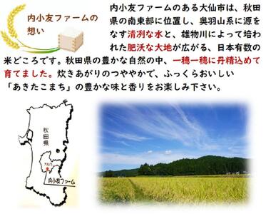 令和6年産 秋田県産あきたこまち 一等米 農家直送 無洗米10kg　内小友ファーム