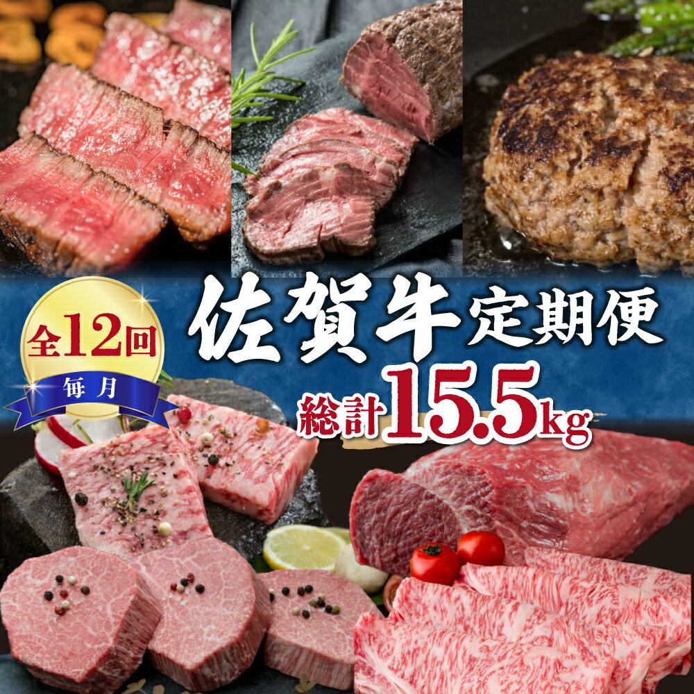 【ふるさと納税】【全12回】毎月お届け佐賀牛定期便 総計15.5kg 999-J475