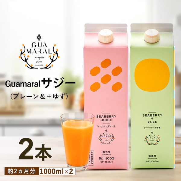 
サジージュース 100%と+ゆず 1000ml×各1本セット（計2本） | サジー シーベリー 沙棘 グアマラル 健康ドリンク 健康 美容 栄養 果汁 鉄分補給 栄養補給 健康食品 ギフト 贈答 プレゼント ご褒美 お祝 記念品 _DX06
