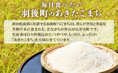 10月発送開始〈先行予約〉農家直送 秋田県産 あきたこまち 10kg (5kg×2)[令和7年産] 大谷地ファーム 田代のお米【 米 お米 ご飯 あきたこまち ブランド米 銘柄米 農家直送 特産品 秋