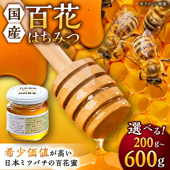 【ふるさと納税】【選べる内容量】日本蜜蜂 百花 はちみつ 純粋蜂蜜 200g / 300g / 400g / 600g /永尾忠則 [UAS005] ハチミツ 蜂蜜 日本ミツバチ 国産
