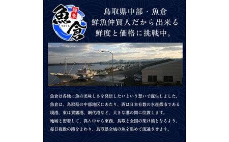 693.【早期受付】【ボイル】足1本なし　訳あり　松葉ガニ　大1枚（800g前後）《かに カニ 蟹 ズワイガニ 》※着日指定不可※2025年11月上旬頃から順次発送予定