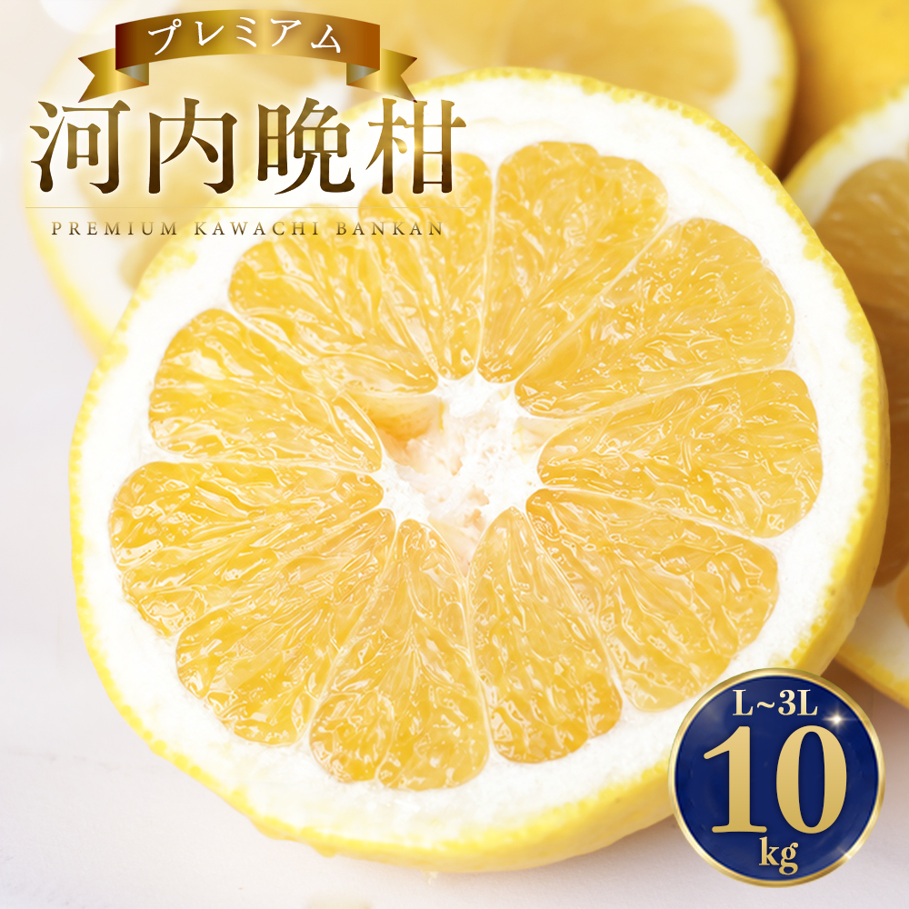 【先行予約】 プレミアム 河内晩柑 10kg L から 3L 優品 贈答用 樹齢 20年 以上 古木 厳選 大玉 果実 特選 直送 和製 グレープフルーツ 愛南ゴールド フルーツ 人気 柑橘 爽やか 甘み ジューシー 果汁 旬の果物 くだもの みかん 産地直送 農園直送 春 味覚 初夏 デザート ジュース おすすめ 生搾り デザート ゼリー 愛媛県 愛南町 清家ばんかんビレッジ