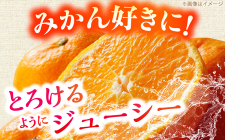 ＜サイズおまかせ＞高知県産温州みかんA級品 約5kg / みかん 柑橘 オレンジ 高知県 温州 【株式会社にしごみ】[ATEA009]