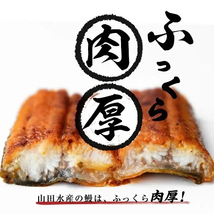 うなぎ 蒲焼 5尾 霧島湧水鰻 うなぎ (700g以上) b0-219-yy