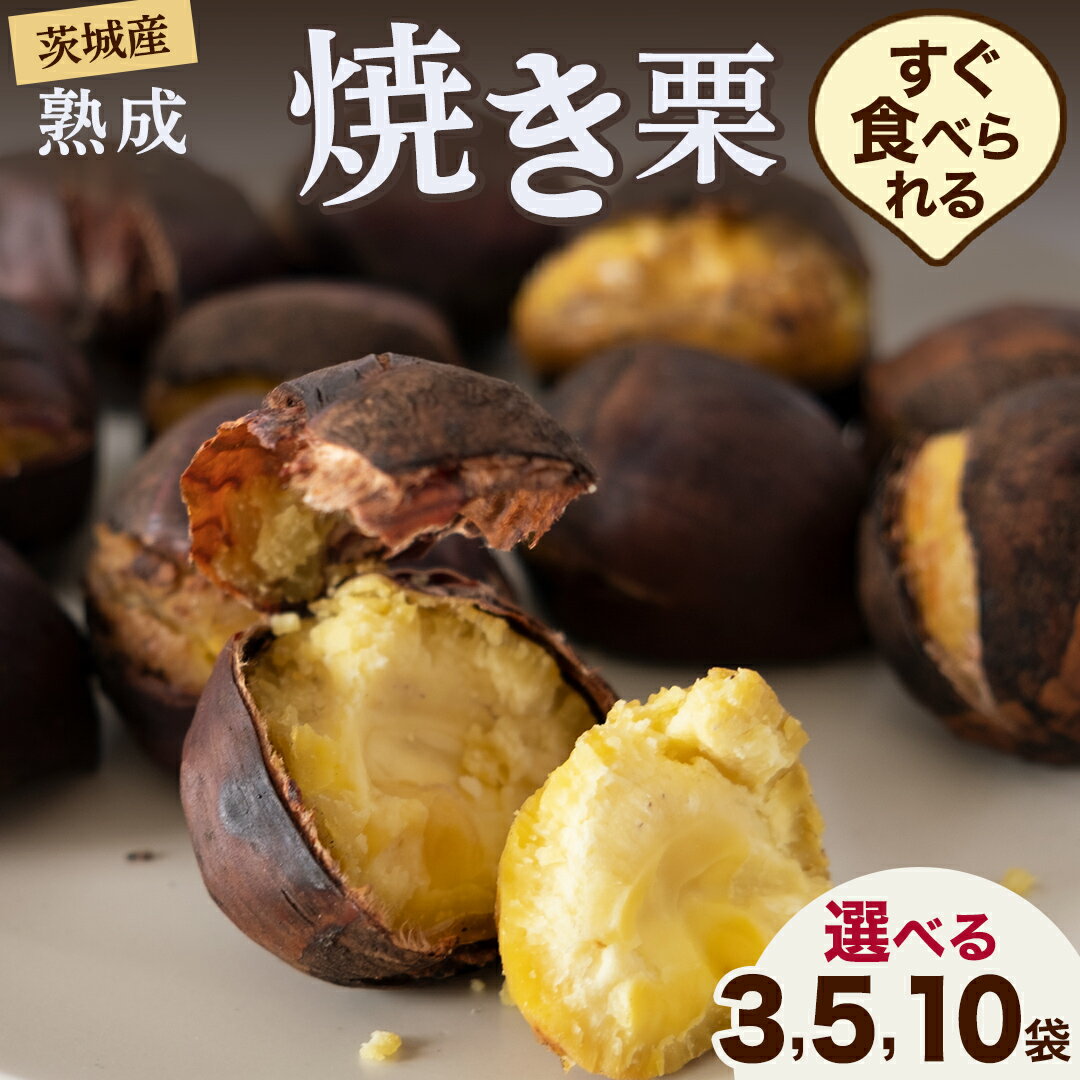 【ふるさと納税】 【 吉原農場 の 完熟栗 】 熟成 焼き栗 ( 選べる 特別内容量 ) 3袋 5袋 10袋 完熟 栗 くり クリ 栗ごはん 贈答 ギフト 果物 フルーツ 数量限定 旬 秋 冬 正月 おせち