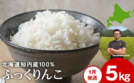 令和8年1月発送 令和7年産ふっくりんこ 5kg 【JA新はこだて】