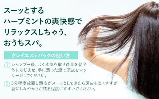 トリートメント クレイエステ パック EX 1000g《30日以内に出荷予定(土日祝除く)》茨城県 結城市 化粧品 ヘアケア トリートメント ミント スカルプ ヘアエステ クレイ 詰め替え用 ケア用品