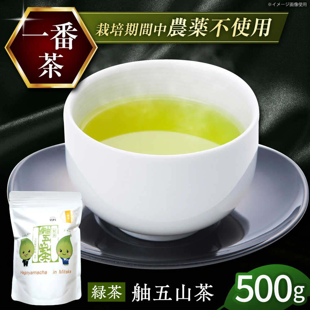 【ふるさと納税】舳五山茶 「一番茶」500g / 緑茶 茶葉 茶ば お茶 茶摘み / 岐阜県 御嵩町 / 舳五山茶園委員会[AVAD007]