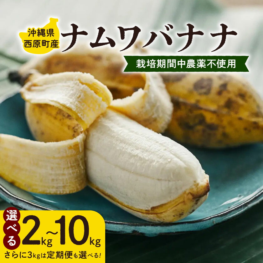 【ふるさと納税】西原町の栽培期間中農薬不使用のナムワバナナ2kg～10kg/3回定期便3kg_ 果物 くだもの フルーツ バナナ ナムワバナナ アップルバナナ りんごの様な風味 定期便 沖縄県 西原町 送料無料 贈答 ギフト 【G1616143】